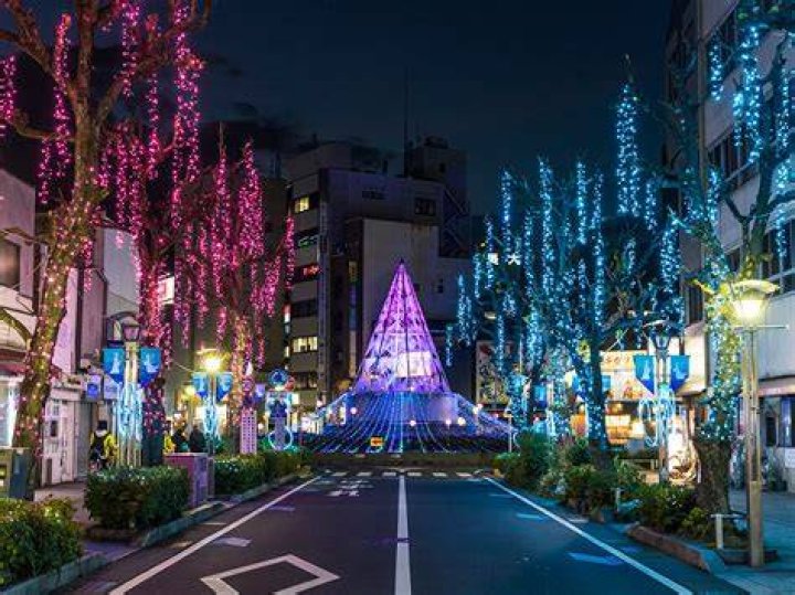 ダイスキ一宮：愛知県一宮市の魅力を徹底解剖
