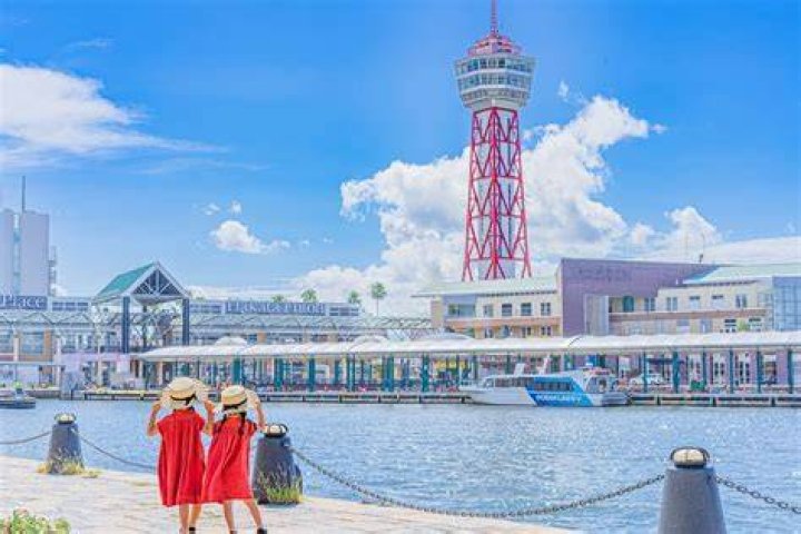 五十路マダム博多の魅力と文化的背景を深掘りする