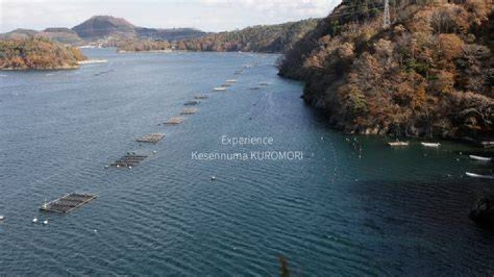 気仙沼市「岩月・宝ヶ沢」周辺を歩く：海と暮らし、地形がつくる日常