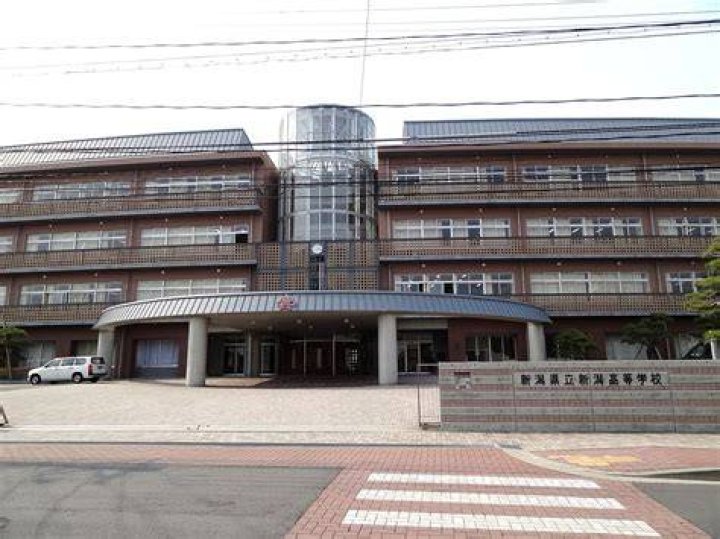 新潟の高校野球速報：きょうの結果・注目校・試合の見どころ