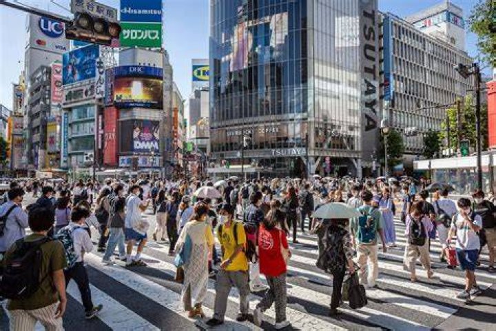 Tokyo Motion の魅力：日本の都市モーションデザインを深掘り